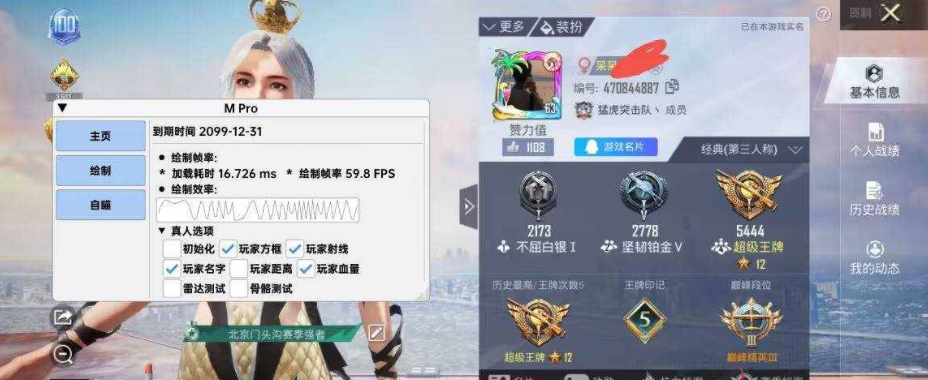 和平精英内部辅助
