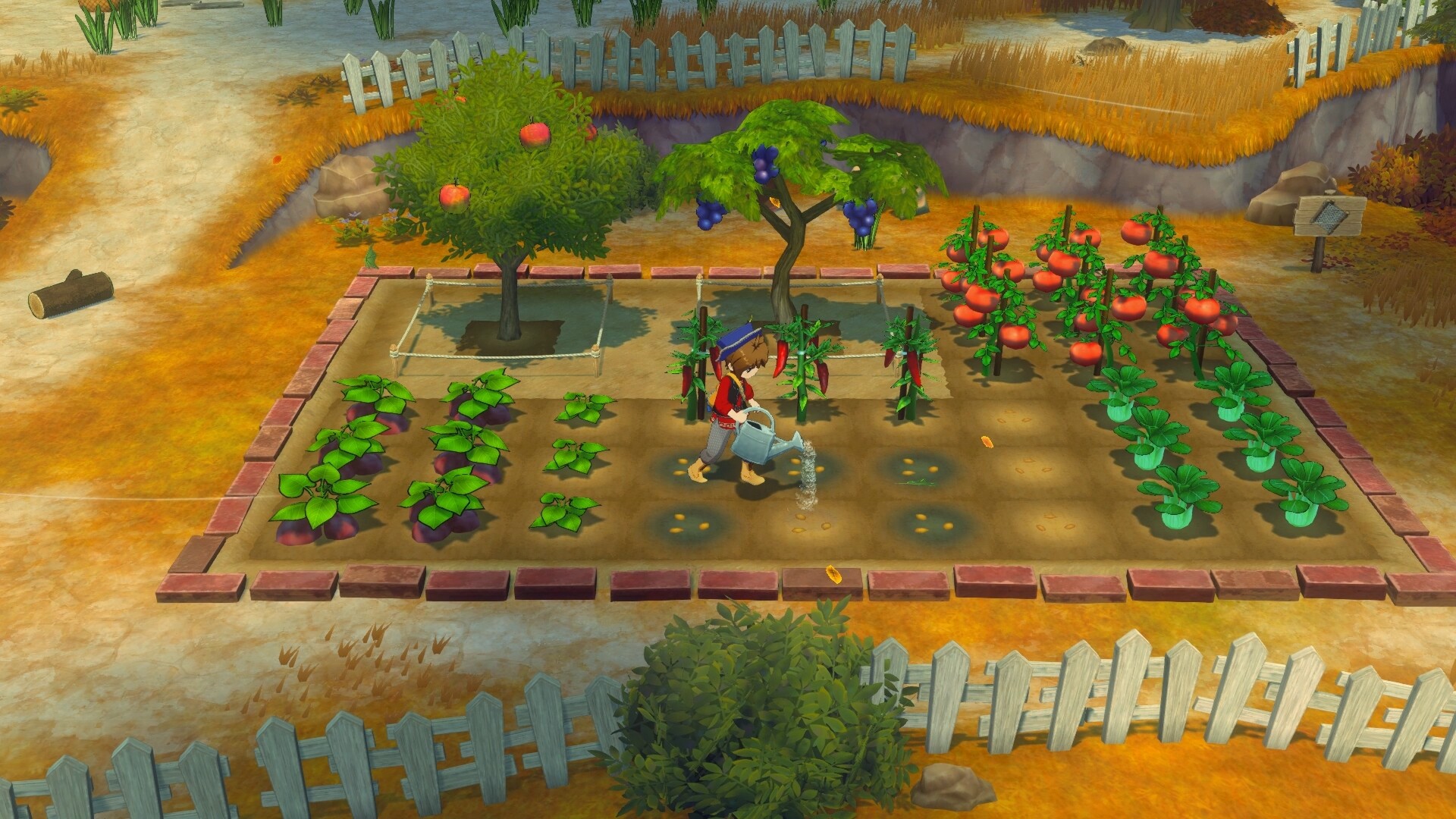 《牧场物语 来吧！风之繁华集市》v1.0.4中文版