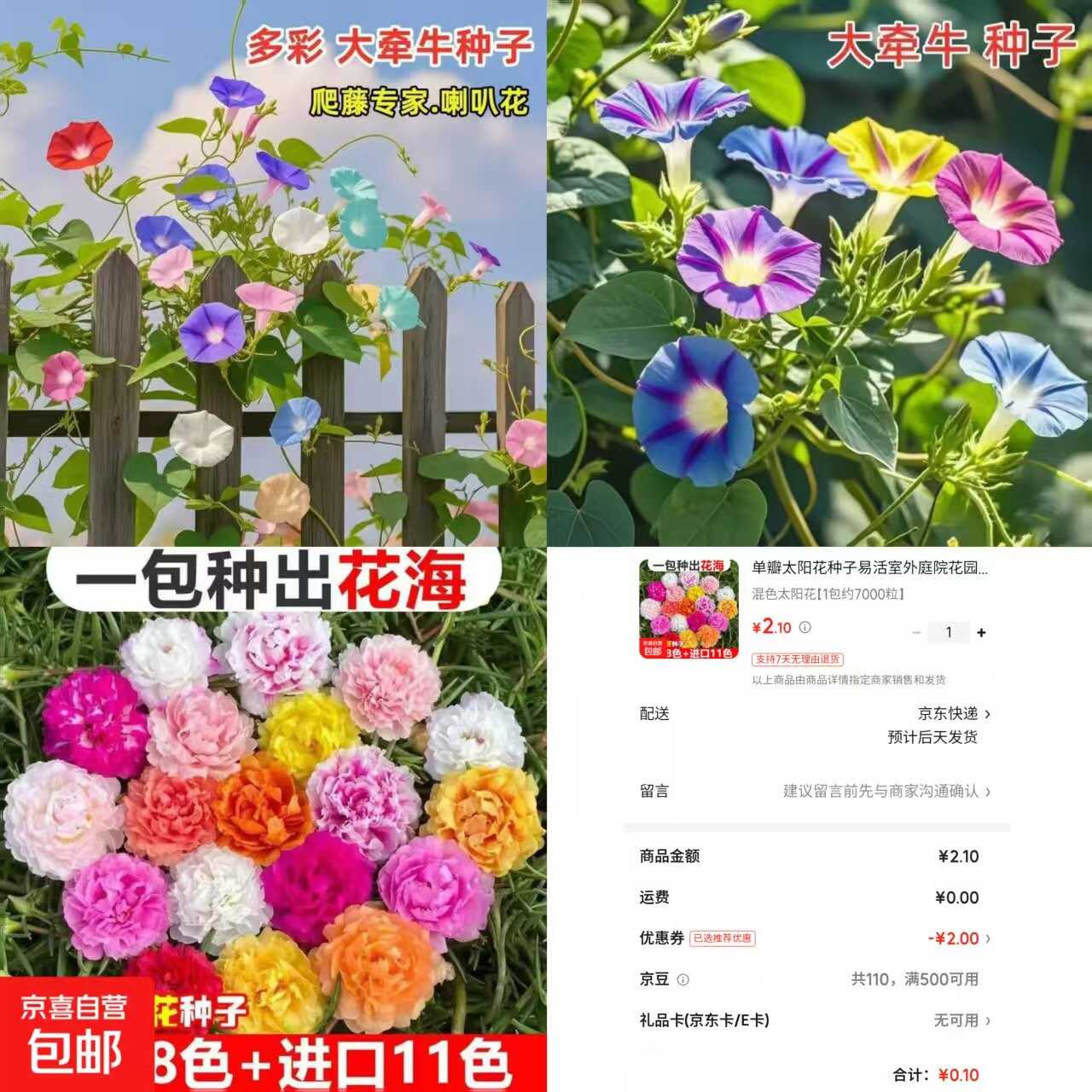 1774496001901924.jpg 京东0.1太阳花种子约7000粒.jpg